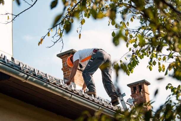Best Roof Gutter Cleaning  in North Gates, NY